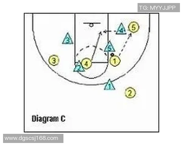 深入分析上海排球队区域防守战术的特点与应用策略