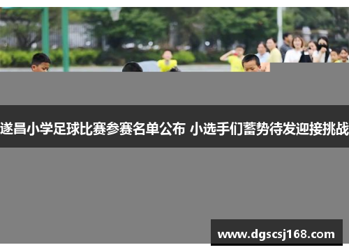 遂昌小学足球比赛参赛名单公布 小选手们蓄势待发迎接挑战