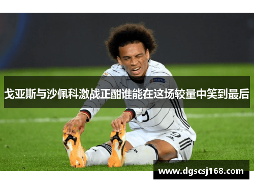 戈亚斯与沙佩科激战正酣谁能在这场较量中笑到最后