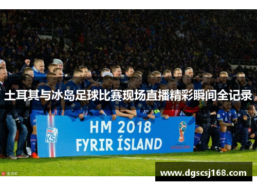 土耳其与冰岛足球比赛现场直播精彩瞬间全记录